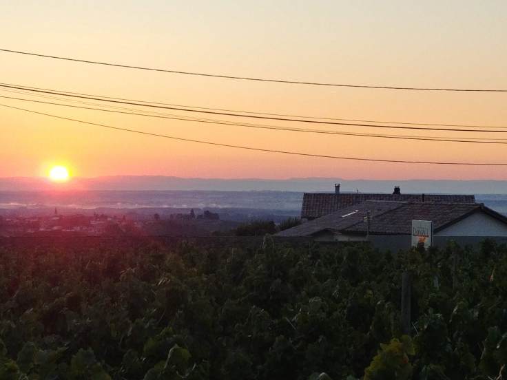 20180905_071115_hdr1